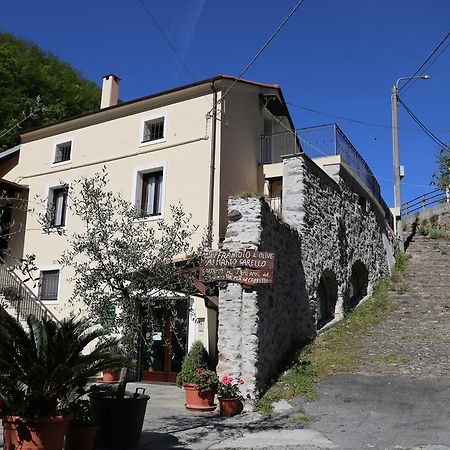 Agriturismo Dai Marchesin Nasino Exterior photo
